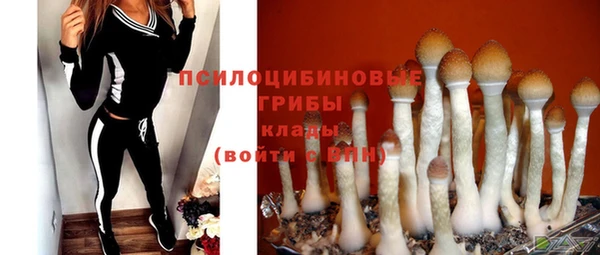 MDMA Premium VHQ Козловка
