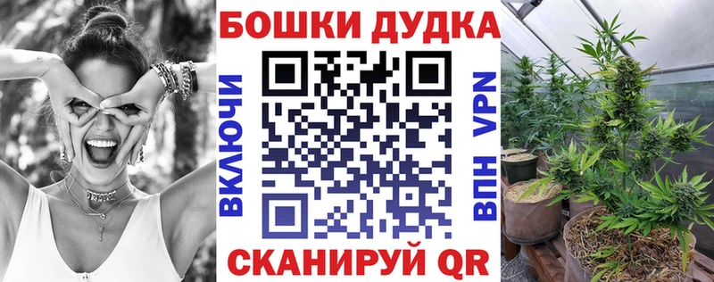 Купить  Великие Луки  Бошки Шишки VHQ 